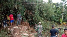 Anggota Koramil 06/Margoyoso beserta warga desa Cebolek Kidul membersihkan dapuran bambu yang ada di tanggul sungai Kali Sat (senin,9/12/2024)